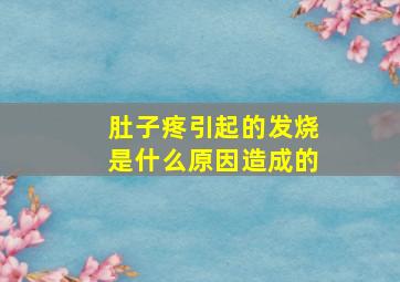 肚子疼引起的发烧是什么原因造成的