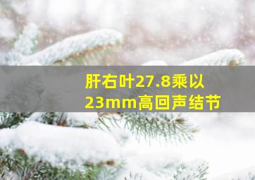 肝右叶27.8乘以23mm高回声结节