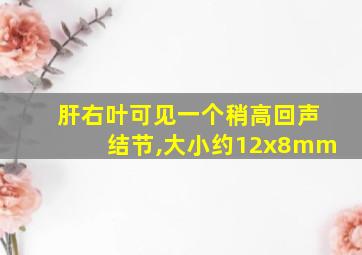 肝右叶可见一个稍高回声结节,大小约12x8mm