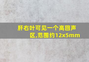 肝右叶可见一个高回声区,范围约12x5mm