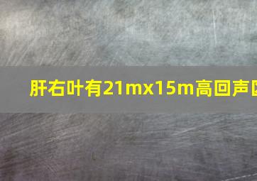 肝右叶有21mx15m高回声区