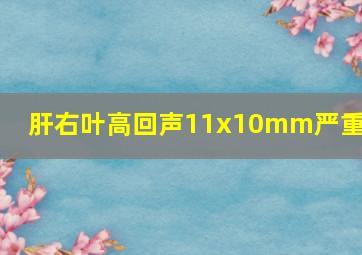 肝右叶高回声11x10mm严重吗