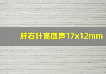 肝右叶高回声17x12mm