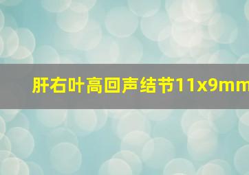 肝右叶高回声结节11x9mm