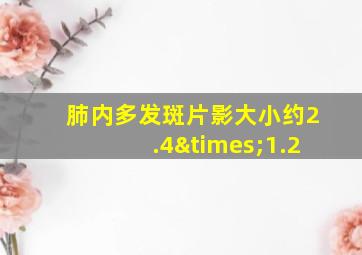 肺内多发斑片影大小约2.4×1.2