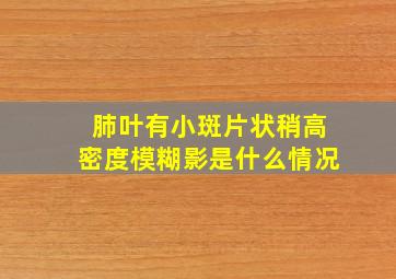 肺叶有小斑片状稍高密度模糊影是什么情况