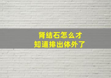 肾结石怎么才知道排出体外了