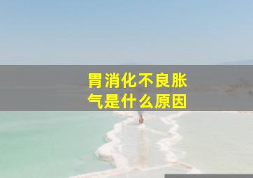 胃消化不良胀气是什么原因