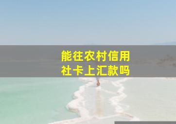 能往农村信用社卡上汇款吗