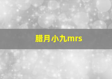 腊月小九mrs