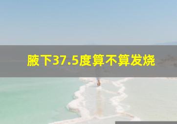 腋下37.5度算不算发烧