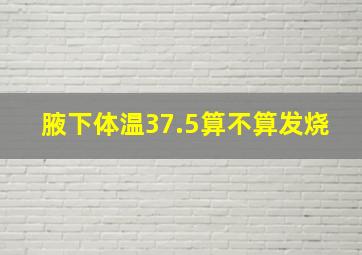 腋下体温37.5算不算发烧