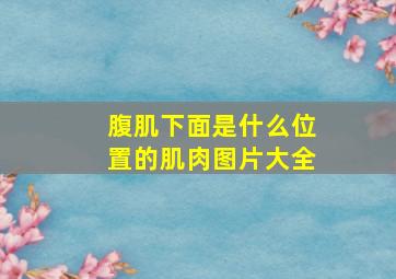 腹肌下面是什么位置的肌肉图片大全