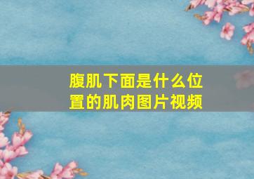 腹肌下面是什么位置的肌肉图片视频