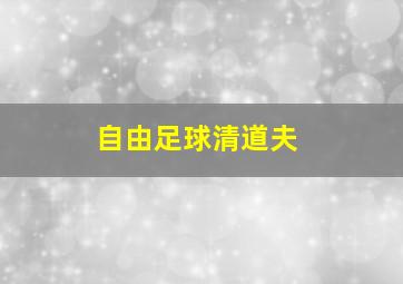 自由足球清道夫