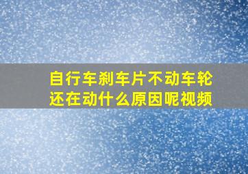 自行车刹车片不动车轮还在动什么原因呢视频