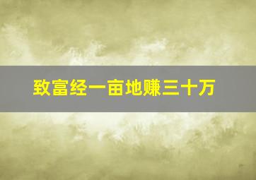 致富经一亩地赚三十万