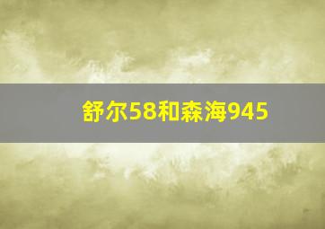 舒尔58和森海945