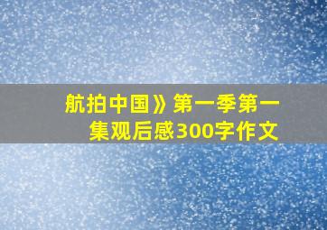 航拍中国》第一季第一集观后感300字作文