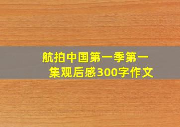 航拍中国第一季第一集观后感300字作文