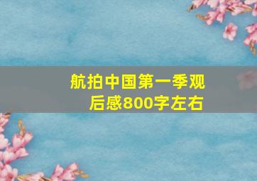 航拍中国第一季观后感800字左右