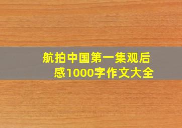 航拍中国第一集观后感1000字作文大全