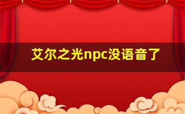 艾尔之光npc没语音了