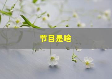 节目是啥