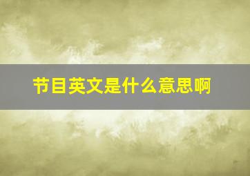 节目英文是什么意思啊