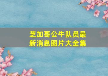 芝加哥公牛队员最新消息图片大全集