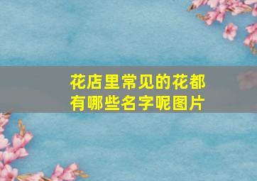 花店里常见的花都有哪些名字呢图片