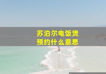 苏泊尔电饭煲预约什么意思