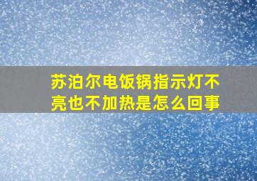 苏泊尔电饭锅指示灯不亮也不加热是怎么回事