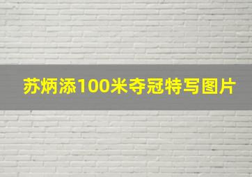 苏炳添100米夺冠特写图片