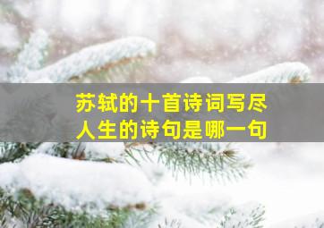 苏轼的十首诗词写尽人生的诗句是哪一句