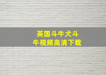 英国斗牛犬斗牛视频高清下载