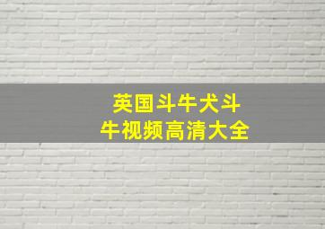 英国斗牛犬斗牛视频高清大全