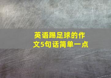 英语踢足球的作文5句话简单一点