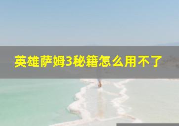 英雄萨姆3秘籍怎么用不了