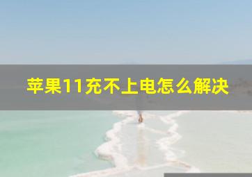 苹果11充不上电怎么解决