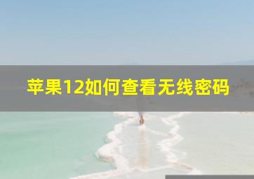 苹果12如何查看无线密码