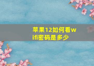 苹果12如何看wifi密码是多少