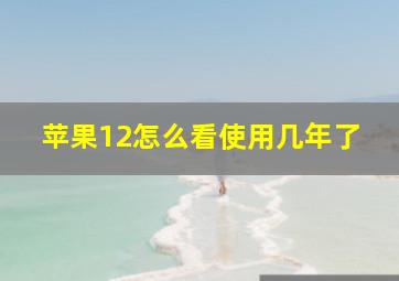 苹果12怎么看使用几年了