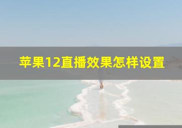 苹果12直播效果怎样设置