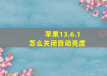 苹果13.6.1怎么关闭自动亮度