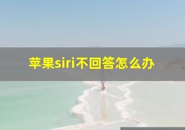 苹果siri不回答怎么办