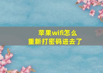 苹果wifi怎么重新打密码进去了