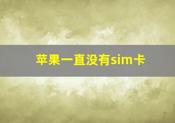 苹果一直没有sim卡