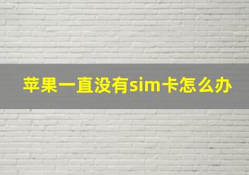 苹果一直没有sim卡怎么办