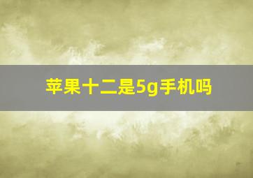 苹果十二是5g手机吗